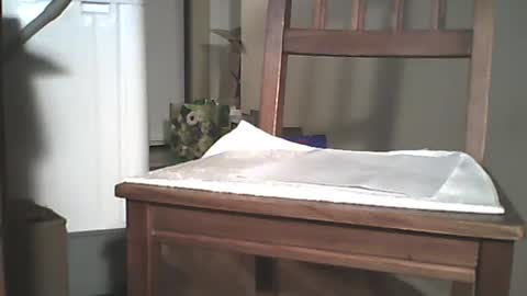 Snapshot of mrroarke chatting on December 29, 2024, 3:44 am Longshot online show from December 29, 2024, 3:44 am