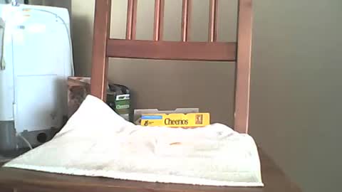 Snapshot of mrroarke chatting on October 6, 2025, 11:35 pm Longshot online show from October 6, 2025, 11:35 pm