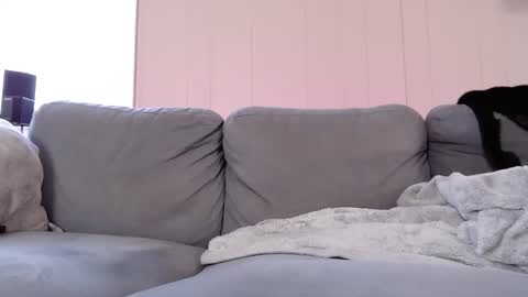 Snapshot of mrshlongboy21 chatting on November 28, 2025, 5:59 pm mrshlongboy21 online show from November 28, 2025, 5:59 pm