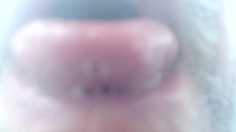 mrtease5 online show from February 2, 2026, 11:31 am