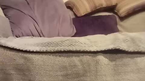 mtx9889 online show from October 27, 2025, 10:47 pm