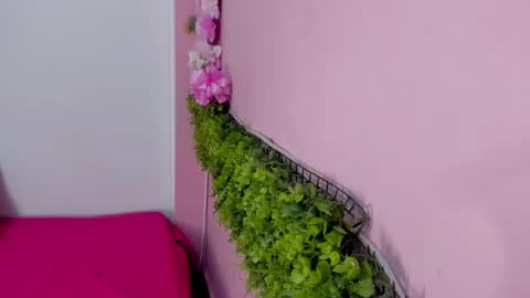 Mulan online show from March 10, 2026, 12:43 pm