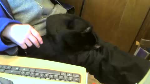 muller520 online show from February 11, 2025, 4:46 pm