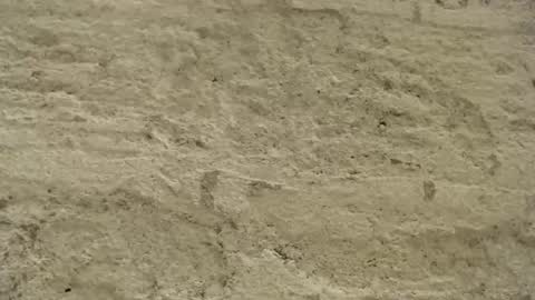 Snapshot of mullty chatting on December 18, 2024, 8:36 pm Mullty online show from December 18, 2024, 8:36 pm