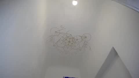 Snapshot of muse_online chatting on December 28, 2024, 7:44 am Muse Ali online show from December 28, 2024, 7:44 am