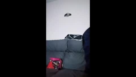 mweed95 online show from December 4, 2025, 5:06 am