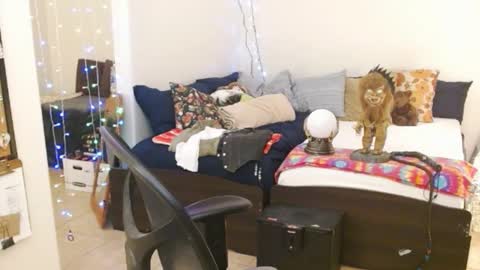 Snapshot of mycock4u247 chatting on February 14, 2025, 5:41 am LA MARIPOSA DE MARICOPA online show from February 14, 2025, 5:41 am