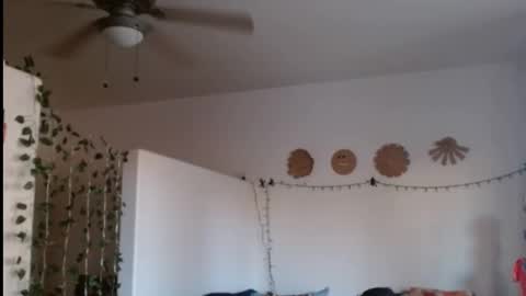 Snapshot of mycock4u247 chatting on February 21, 2025, 12:38 am LA MARIPOSA DE MARICOPA online show from February 21, 2025, 12:38 am