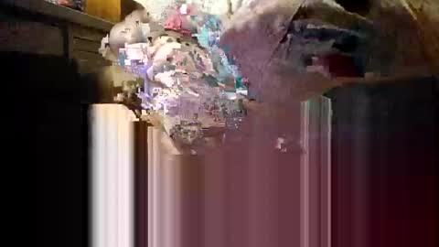 Snapshot of myhardlover chatting on December 4, 2025, 11:19 am Mmmm Feels Great online show from December 4, 2025, 11:19 am