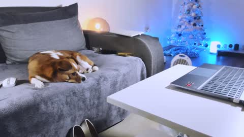 Anda online show from December 27, 2024, 10:48 pm