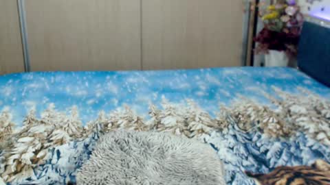 Myrabelle24 online show from March 5, 2025, 10:44 am