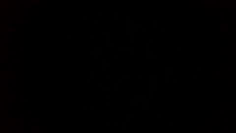 mysterious_twist online show from January 19, 2026, 1:15 pm