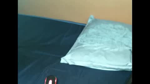 Snapshot of mystic_linna chatting on January 31, 2025, 2:48 am mystic_linna online show from January 31, 2025, 2:48 am