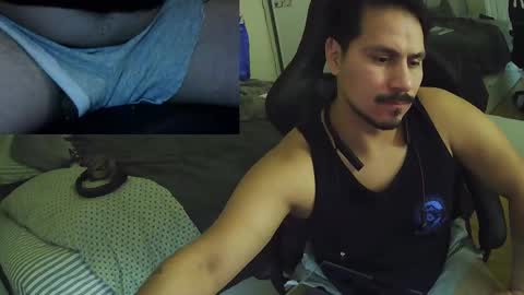 N0ttheFace online show from November 18, 2025, 2:28 am