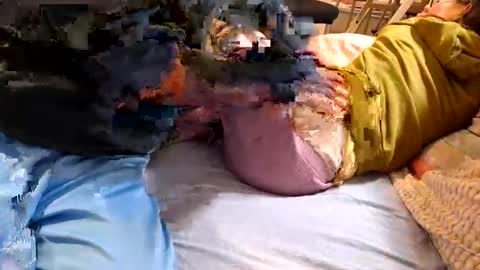 n55emo online show from February 4, 2026, 6:47 pm