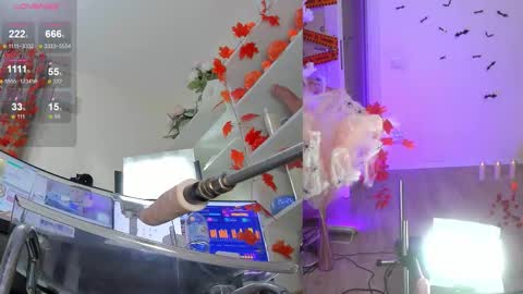 INSTAGRAM     bekkercat  online show from November 6, 2025, 12:28 pm