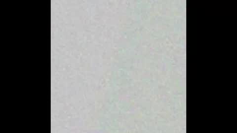 Naomy online show from October 15, 2025, 8:31 pm