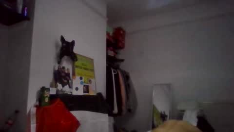 Snapshot of narcomarco14 chatting on November 11, 2025, 1:49 am NarcoMarco online show from November 11, 2025, 1:49 am