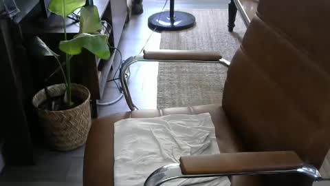 Snapshot of nareth338 chatting on September 19, 2025, 8:42 pm nareth338 online show from September 19, 2025, 8:42 pm