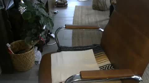 Snapshot of nareth338 chatting on January 6, 2026, 4:21 pm nareth338 online show from January 6, 2026, 4:21 pm