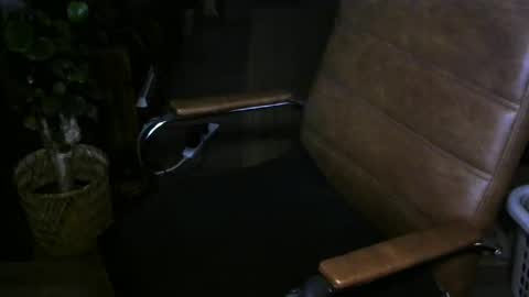 nareth338 online show from April 1, 2026, 1:01 pm