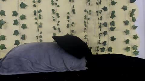 Maira online show from February 13, 2025, 10:23 am