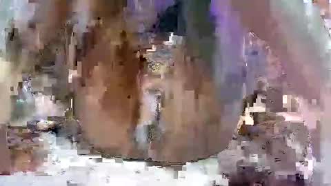 nasty toy online show from January 9, 2025, 6:17 am