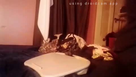 nathanbutler0 online show from November 1, 2025, 2:52 pm