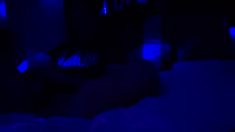 Snapshot of nativeboi22 chatting on January 8, 2026, 9:22 am Haven online show from January 8, 2026, 9:22 am