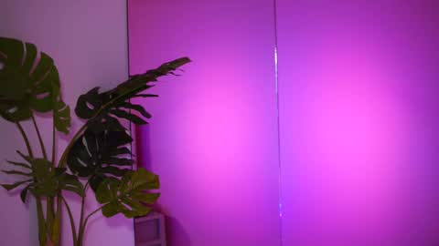 Snapshot of natydesiree chatting on February 26, 2025, 8:04 am Naty online show from February 26, 2025, 8:04 am