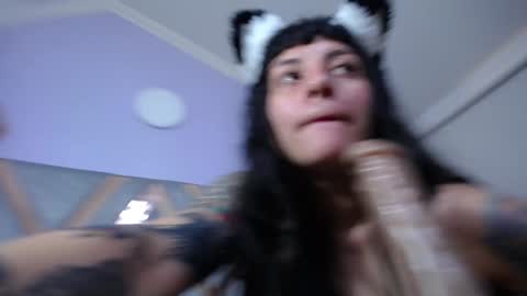 Kitten online show from January 31, 2025, 5:32 pm