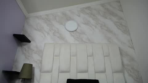 Kitten online show from February 12, 2025, 10:35 am