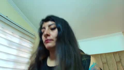 Kitten online show from March 2, 2026, 11:39 am