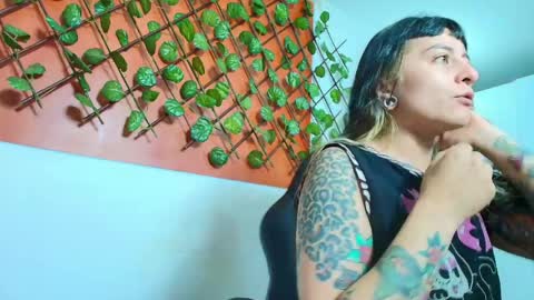 Kitten online show from April 11, 2026, 10:52 am