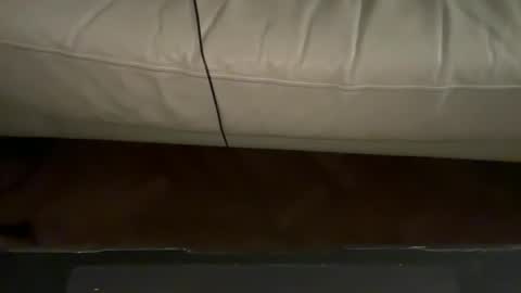 navigatingtothesky online show from November 18, 2025, 11:48 pm