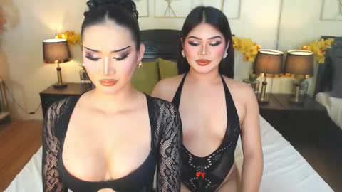 F R A N Z I A online show from November 15, 2025, 10:12 am