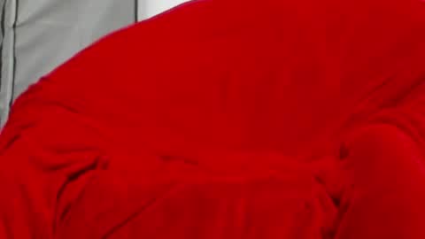 neccesitysexxxxx online show from June 1, 2026, 7:48 pm