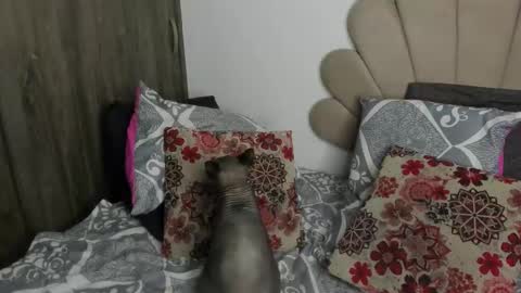 Nei turn green online show from November 11, 2025, 1:16 am