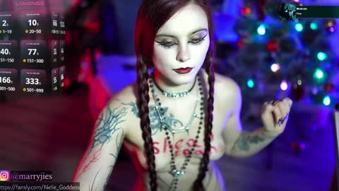 Snapshot of nelle_ chatting on December 30, 2024, 4:19 pm online show from December 30, 2024, 4:19 pm