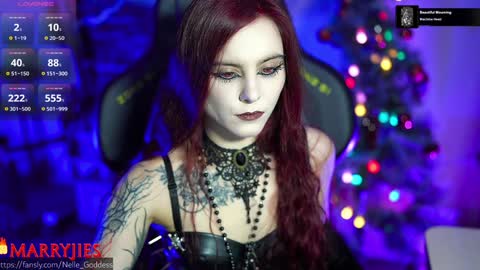 Snapshot of nelle_ chatting on January 12, 2025, 12:23 pm online show from January 12, 2025, 12:23 pm