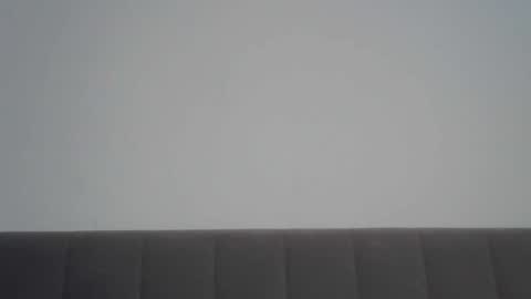 nelly_fortu online show from February 3, 2026, 11:04 am