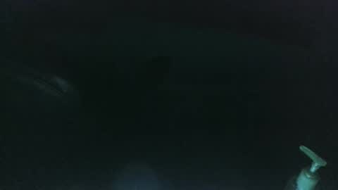 Snapshot of nelsonbucara chatting on March 8, 2025, 10:00 am nelsonbucara online show from March 8, 2025, 10:00 am