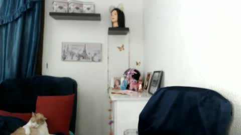 Star  online show from February 27, 2025, 12:10 am