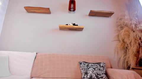 Jordan online show from March 3, 2026, 12:11 pm