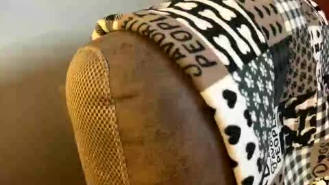 neverwinter44 online show from March 9, 2026, 6:06 am