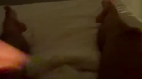 new25cam online show from January 10, 2026, 3:52 am