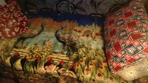 Lilly  online show from April 10, 2026, 2:50 am