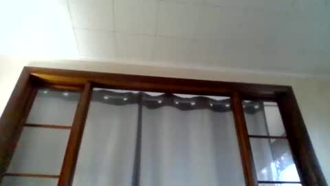 Newguy81240 online show from November 26, 2025, 7:04 pm