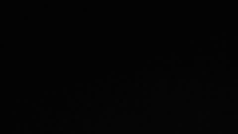 Robin online show from February 3, 2025, 10:36 am