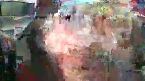 Snapshot of nicholaastavrou1977066464511s chatting on February 16, 2026, 4:41 am nick stavrou online show from February 16, 2026, 4:41 am